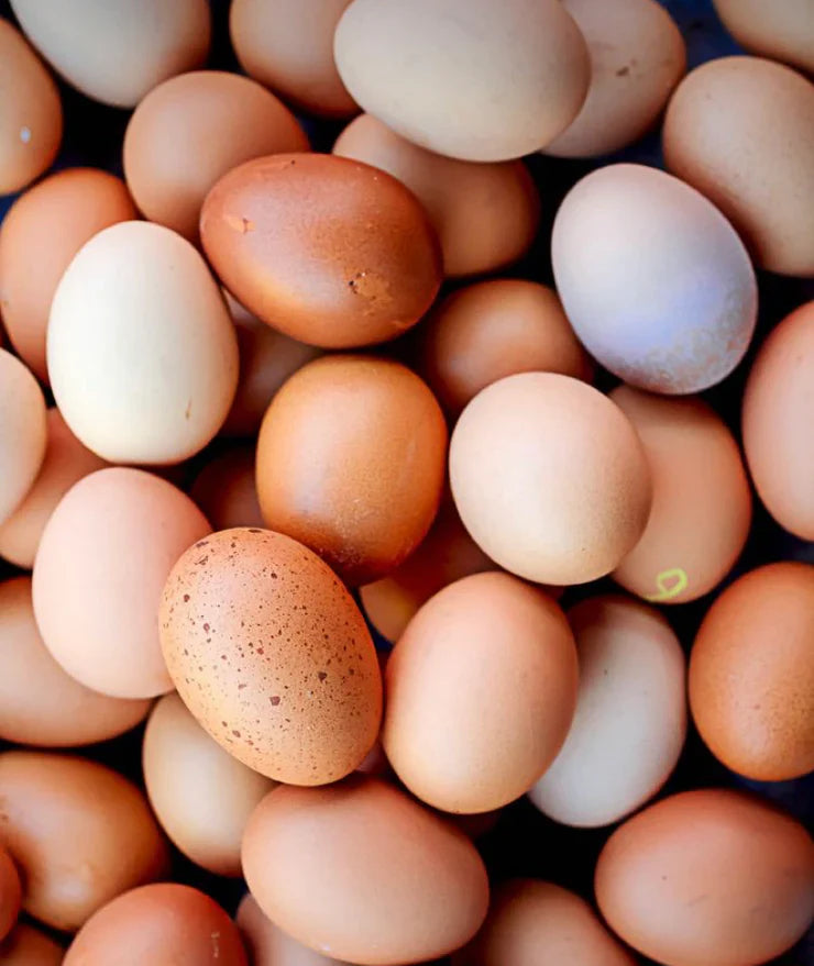 Huevos Gallinas Libres Extra Grande Avícola Paihuano - 30 Unid (Despacho sólo La Serena y Coquimbo)