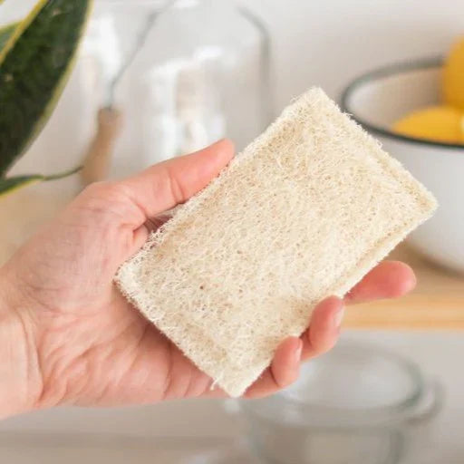 Luffa Plana Redonda & Cuadrada Vegetal - 1 Und